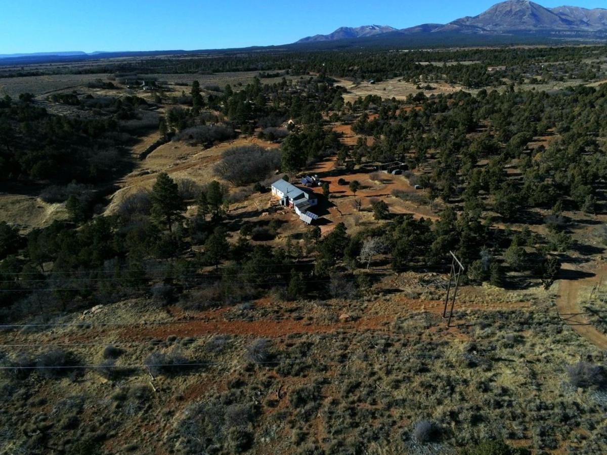 Indian Canyon Ranch Verdure Luaran gambar