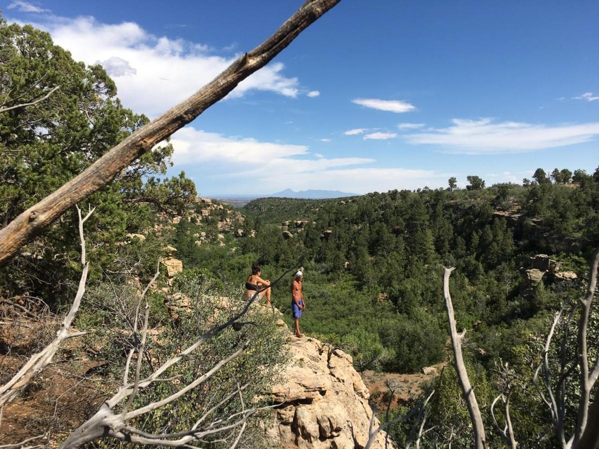 Indian Canyon Ranch Verdure Luaran gambar