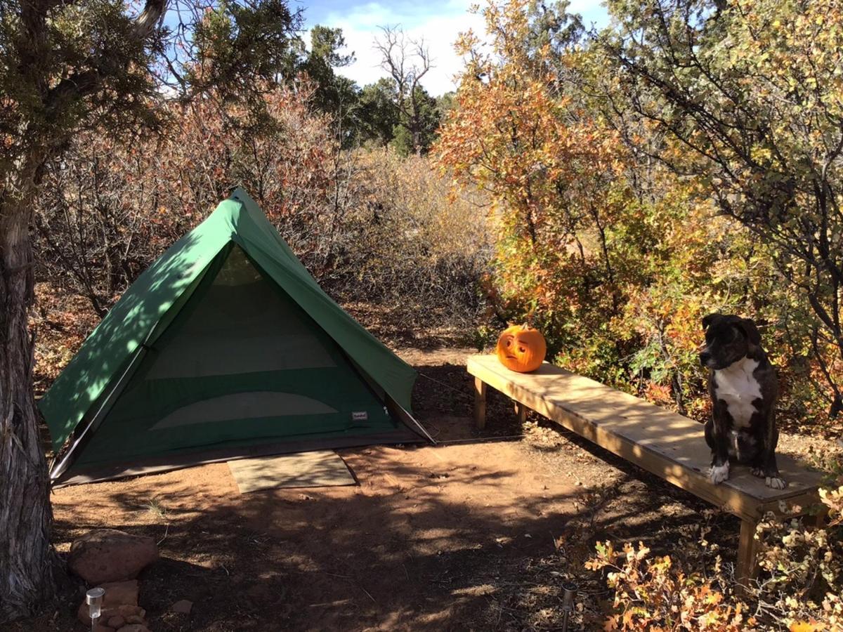 Indian Canyon Ranch Verdure Luaran gambar