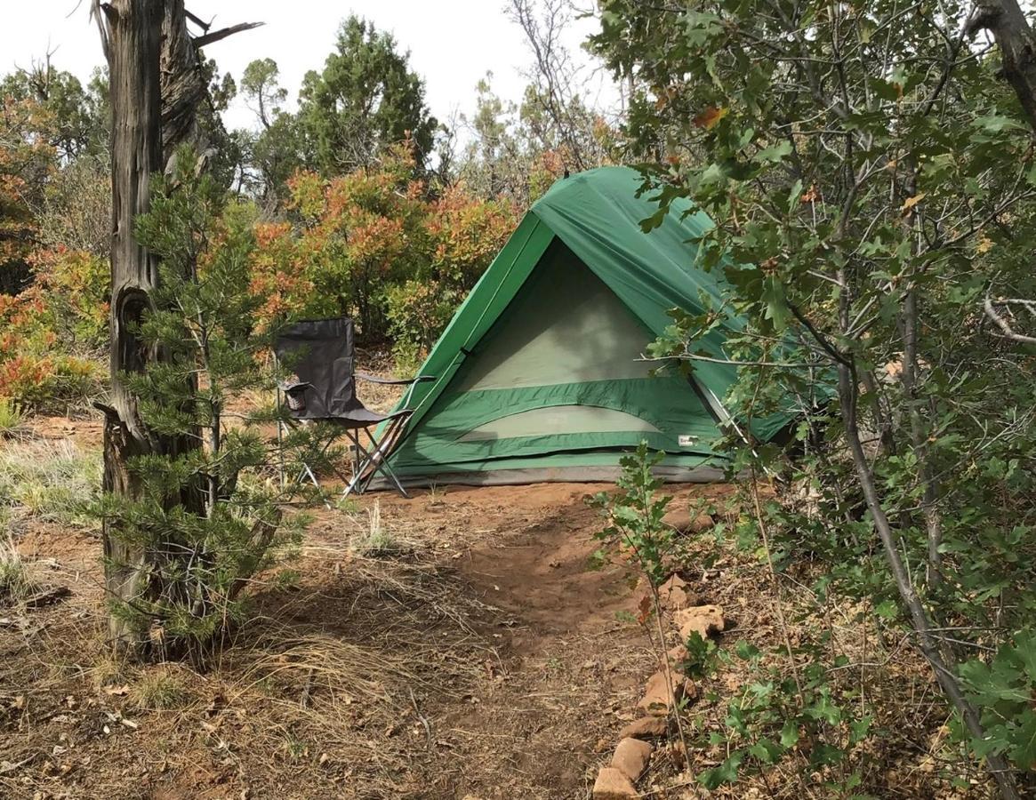 Indian Canyon Ranch Verdure Luaran gambar