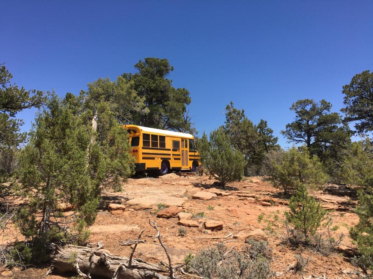 Indian Canyon Ranch Verdure Luaran gambar