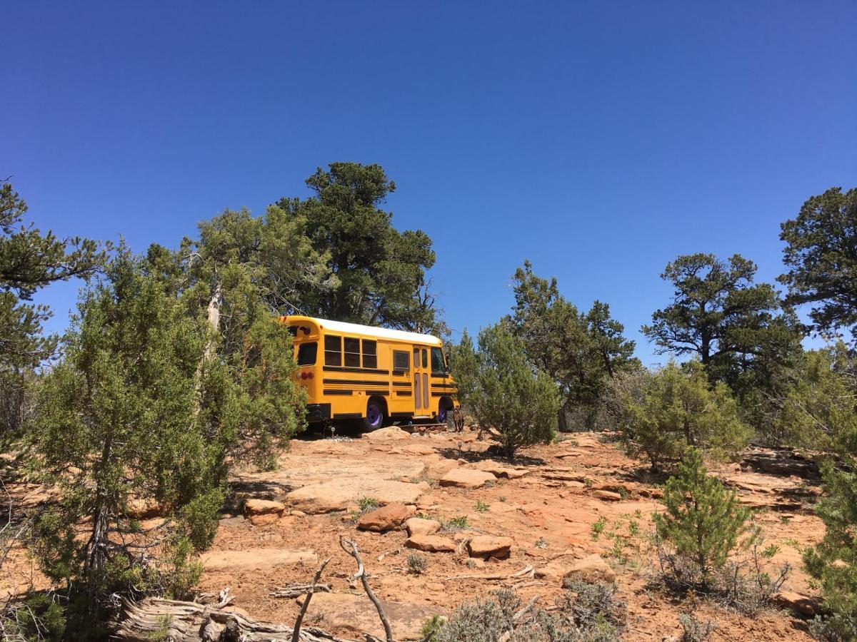 Indian Canyon Ranch Verdure Luaran gambar