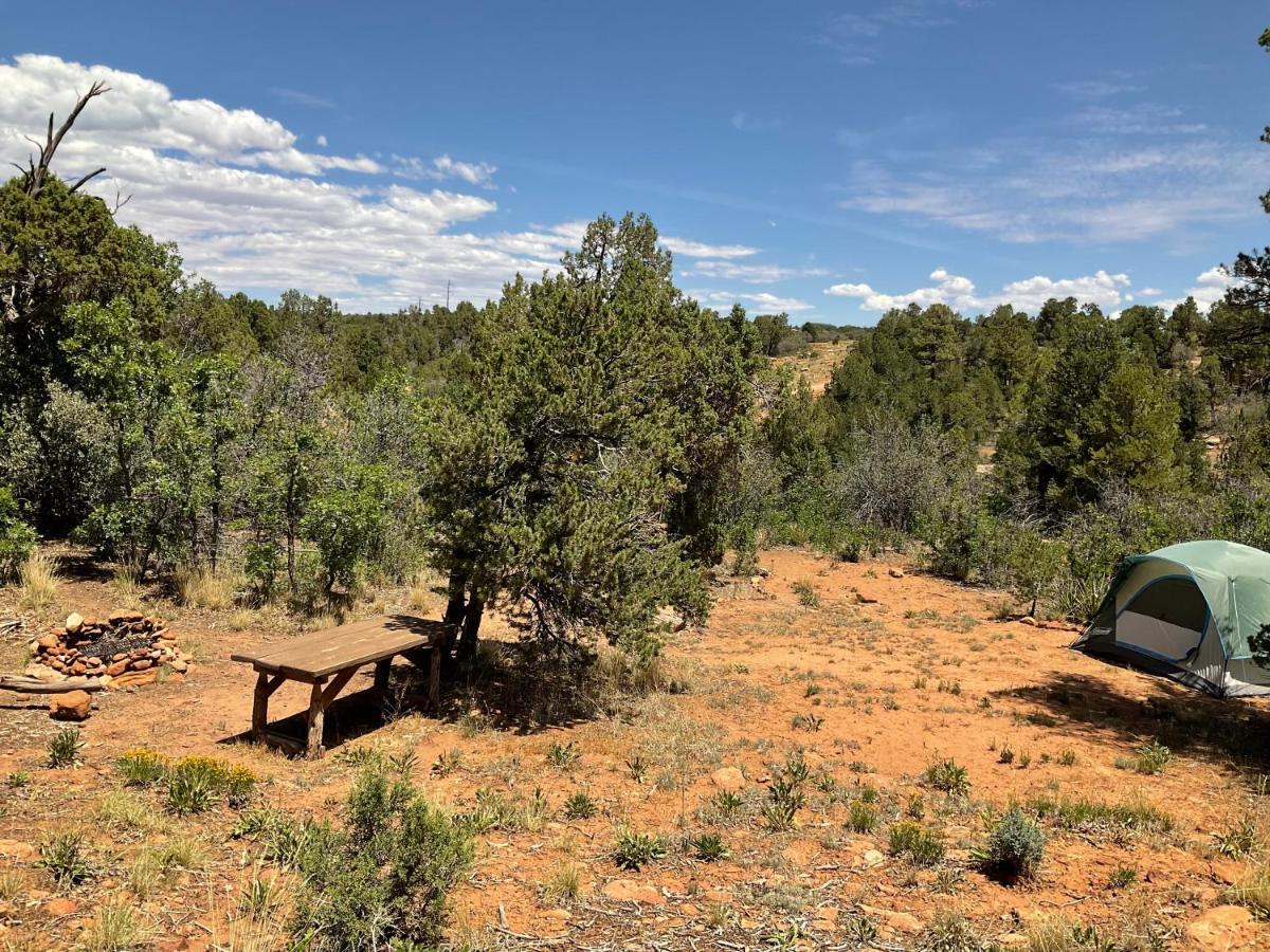 Indian Canyon Ranch Verdure Luaran gambar