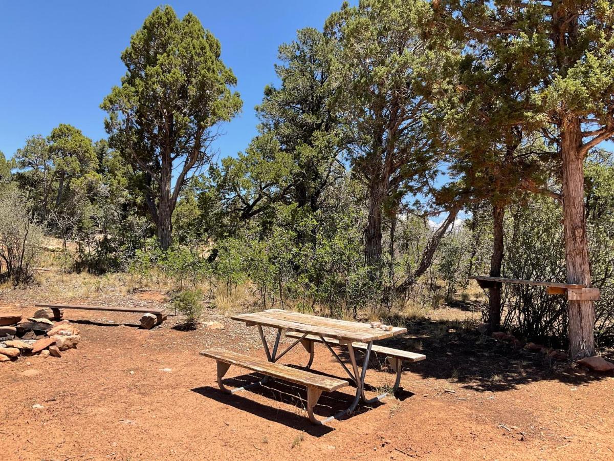 Indian Canyon Ranch Verdure Luaran gambar