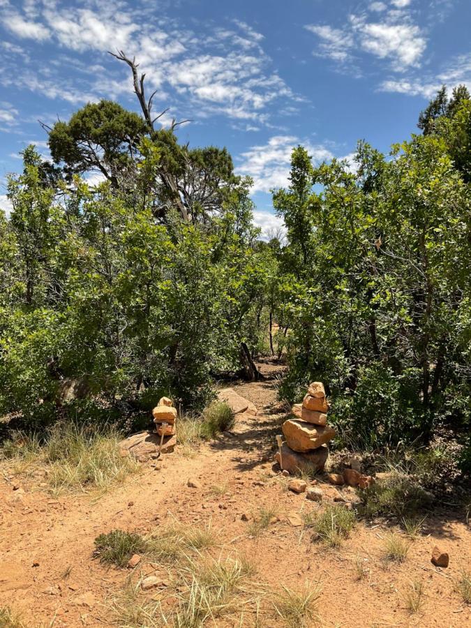 Indian Canyon Ranch Verdure Luaran gambar