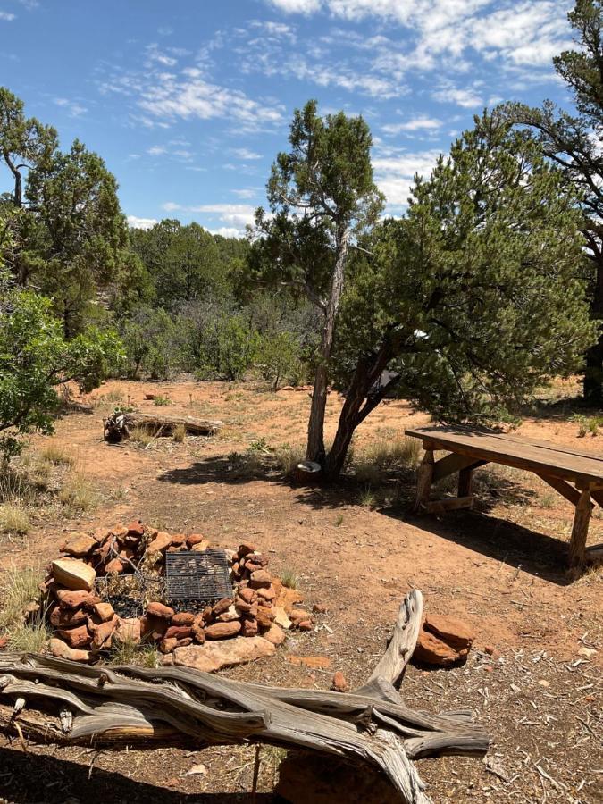 Indian Canyon Ranch Verdure Luaran gambar